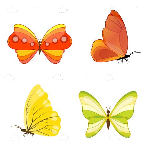 Colourful Butterfly Icons
